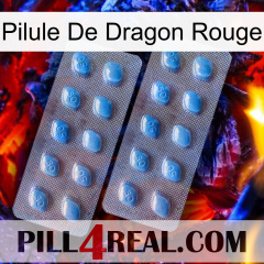 Red Dragon Pill viagra4
